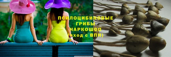 apvp Козловка