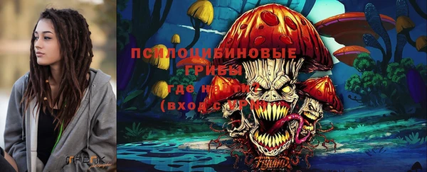 марки nbome Козельск